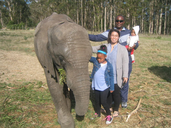 Candice Eseme - visiting Knysna Elephant Sanctuary